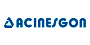 Acinesgon